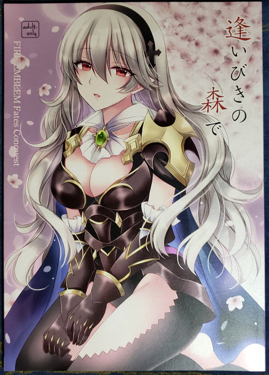 Corrin x Takumi Doujinshi R18